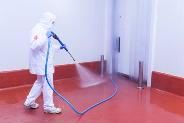 Best Pool Deck Cleaning  in Luna Pier, MI