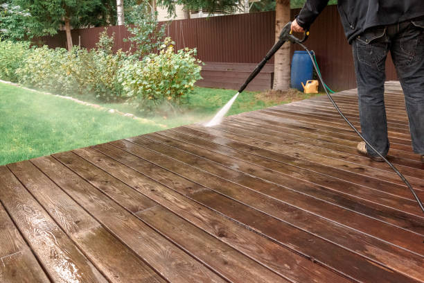 Professional Pressure Washing in Luna Pier, MI