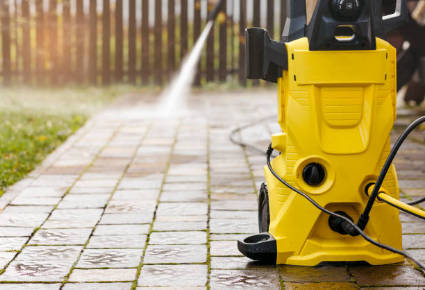 Animal Enclosure Cleaning in Luna Pier, MI